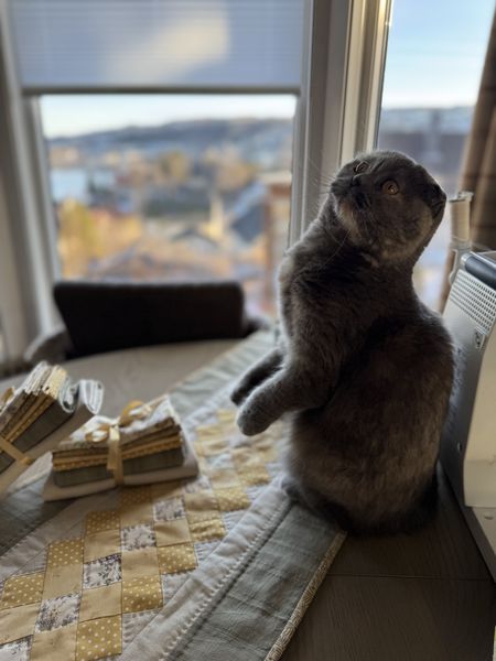 Tidlig v&aring;r